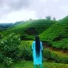 Swetha Elangamani
