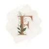Fai Alotaibi
