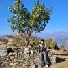 Sahil Minhas