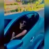 Ilyass El khamali