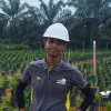 Ahmad Wafiy Shapri