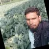 Mohammed Shabeer