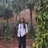 Palak