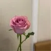 Sadeem Altuwayli