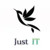 Just Developer