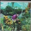 Chandrakishor Bisen