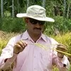 DHEERENDRA KUMAR