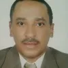 Mohamed Seif