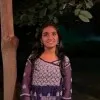 Sachi Pol