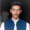 Malik saifullah