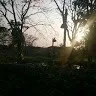Ashish Agarwal
