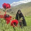 Zeinab Zakerian
