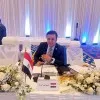 Mostafa Abdelsattar Otefy