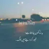 Husnain Irshad