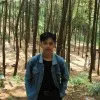 Juni Ardi