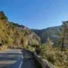 Ajay Sharma