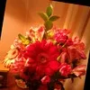 Valentine Dawiec