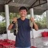 Taufik nurochman