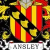 Chad Ansley