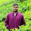 Nityaprakash Soni