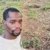 Morris Sifa