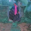 Suhaina