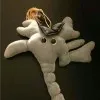 Chongru Sun