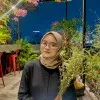 Isti Komah