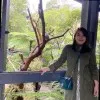 Ronabelle Villacillo
