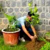 Rahul syal