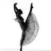 Charlotte Meyer