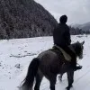 Darius Nicolae
