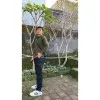Muhamad Nurkholis