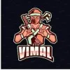Vimal Tyagi