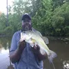 Greg Mayfield