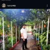 mohd haris