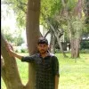 Kavin