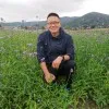 Liwei Zong