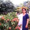 Renuka