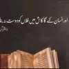 Yarza Zaidi