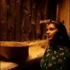 Harshita Gupta