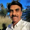 subrahmanya raju vegesna