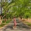 Cho Cho Thae
