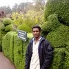 Hariharan selvaraj