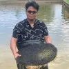 Andrew Stephanus
