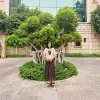 Yin min Khine