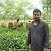 Rajeev Lochan Choudhury