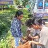 Monalisha AP