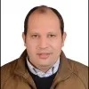 Wael Sawires