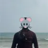 Bharath